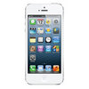 Apple iPhone 5 16Gb white - Узловая